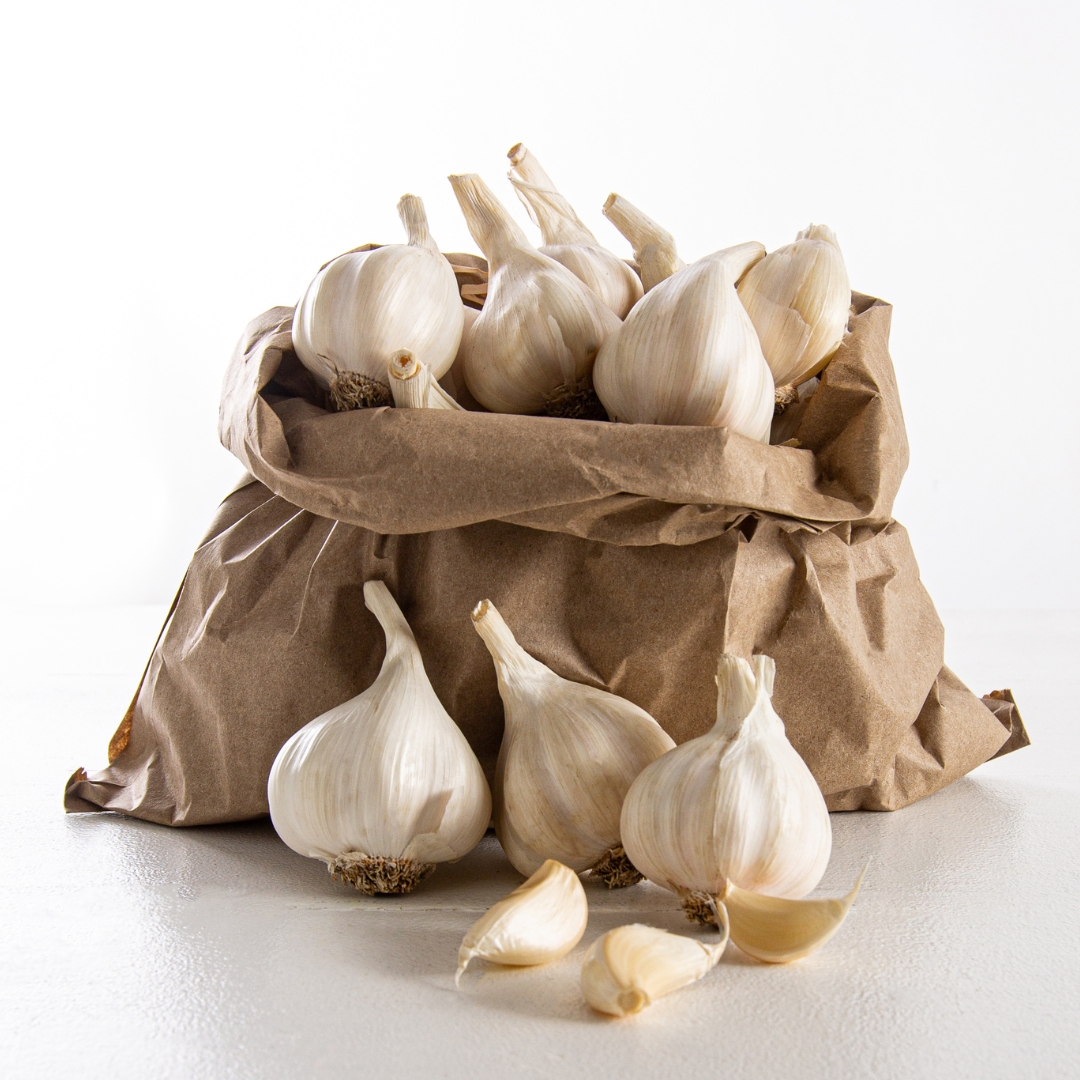 Buy Garlic - Early Pearl Turban Online NZ